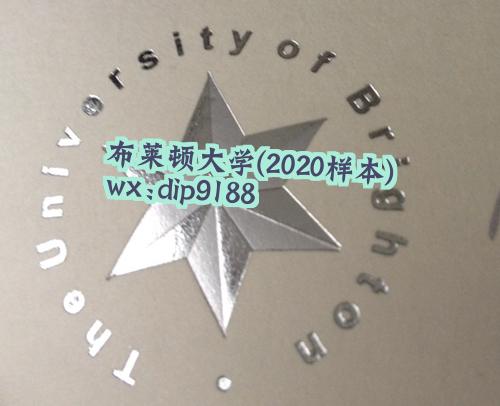 布莱顿大学学历2020毕业证样本图片