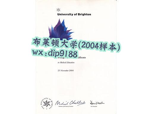 布莱顿大学学历2004毕业证样本图片