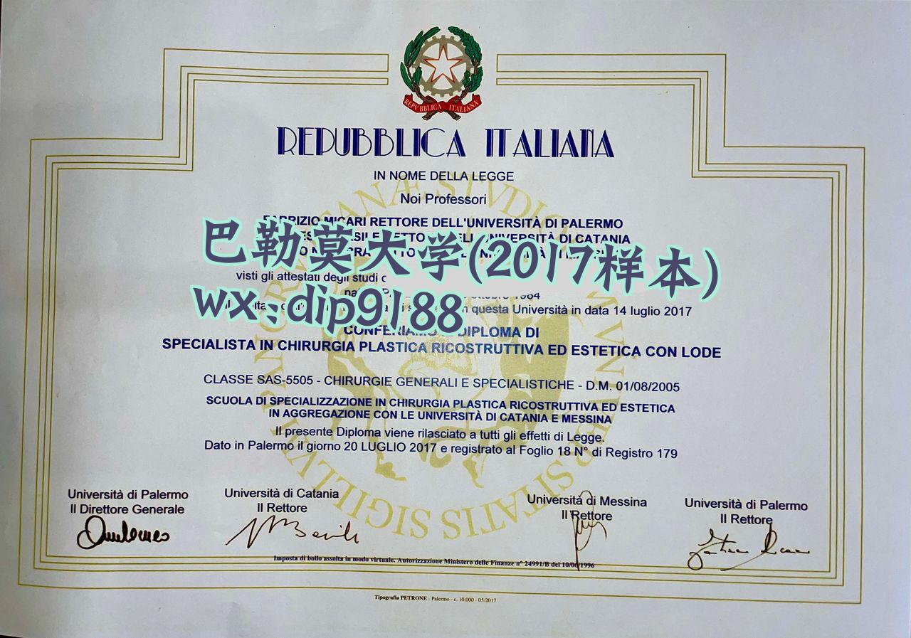 巴勒莫大学学历2017毕业证样本图