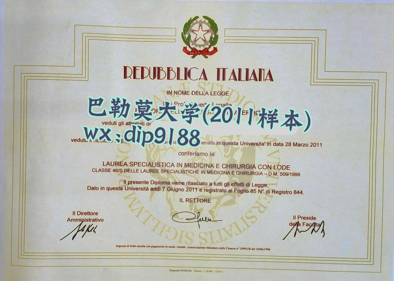 巴勒莫大学学历2011毕业证样本图