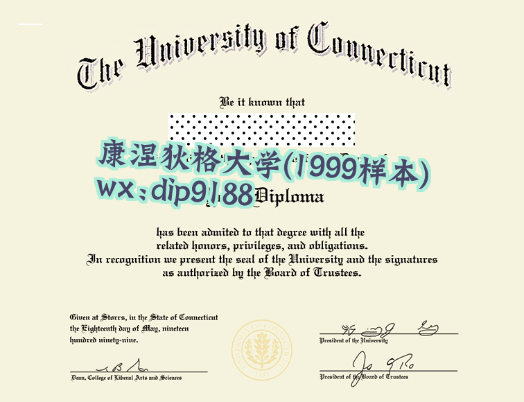 康涅狄格大学学历1999毕业证样本图