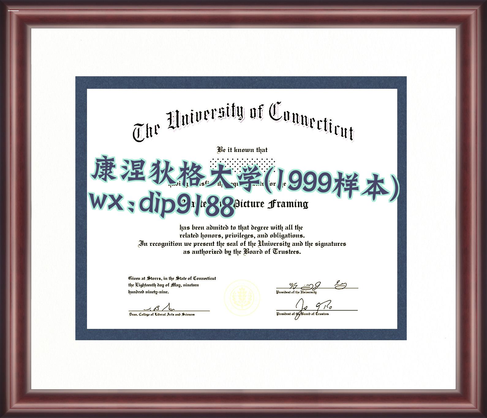 康涅狄格大学学历1999毕业证样本图