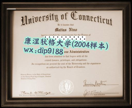 康涅狄格大学学历2004毕业证样本图