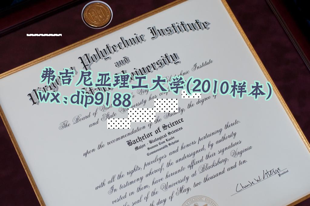 弗吉尼亚理工大学学历2010毕业证样本图