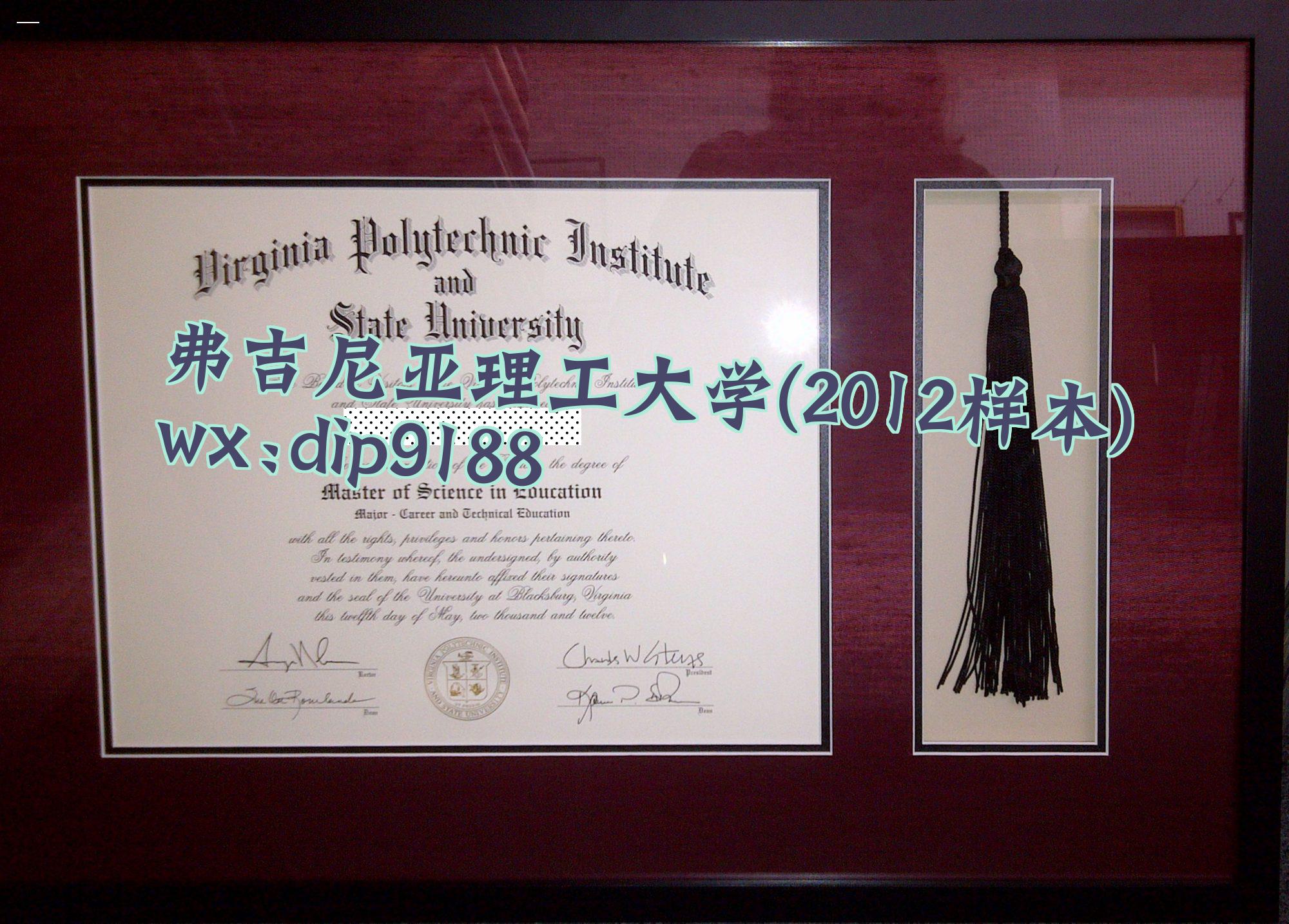 弗吉尼亚理工大学学历2012毕业证样本图