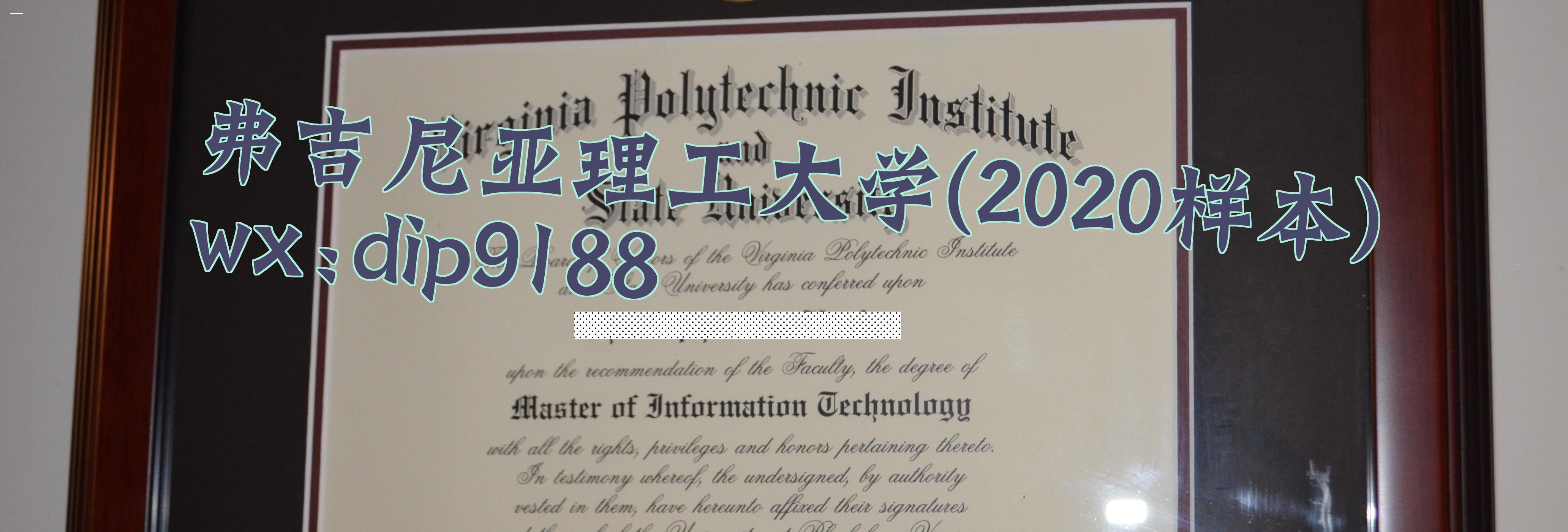 弗吉尼亚理工大学学历2020毕业证样本图