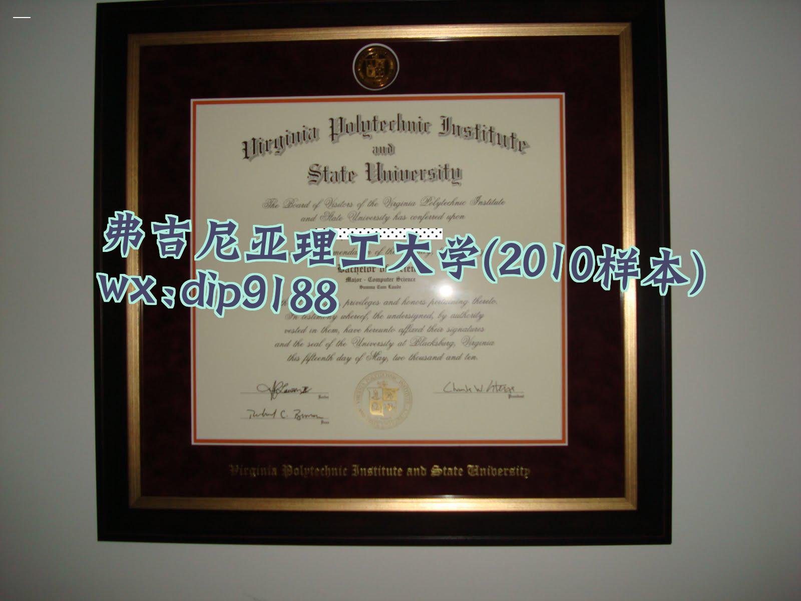 弗吉尼亚理工大学学历2010毕业证样本图