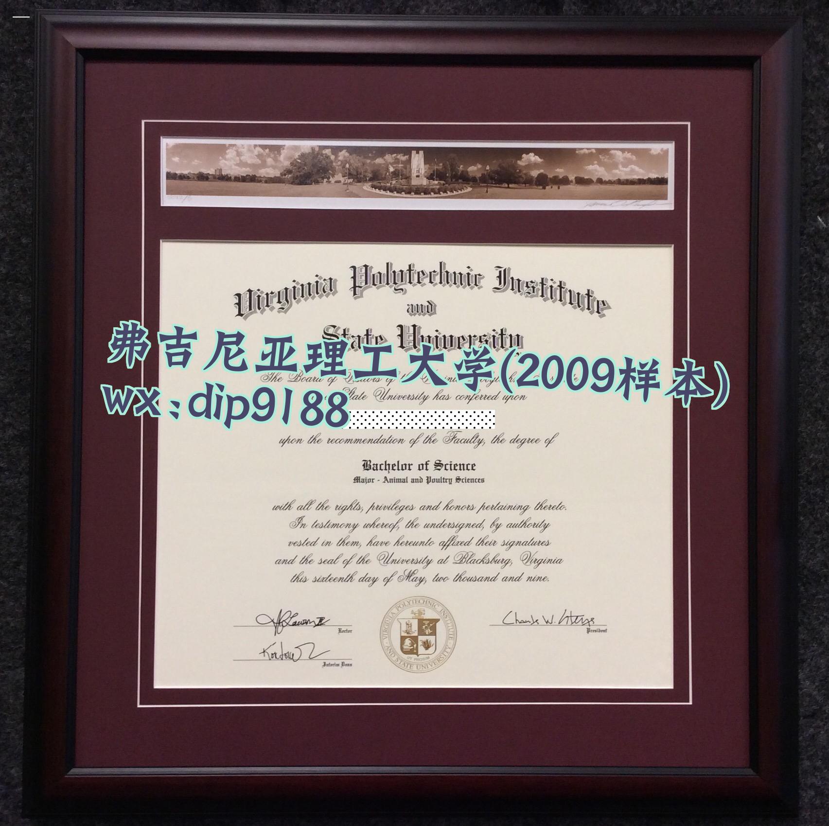 弗吉尼亚理工大学学历2009毕业证样本图