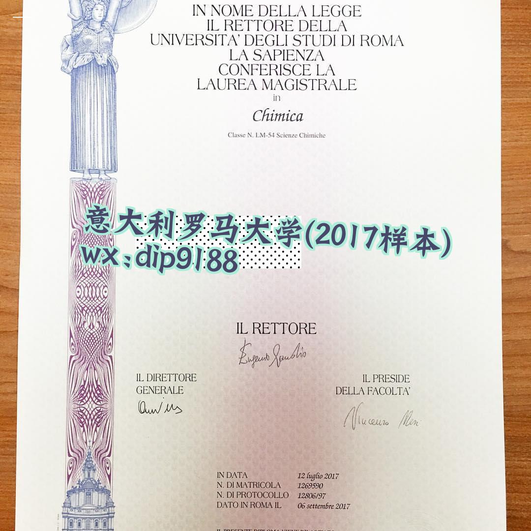 意大利罗马大学学历2017毕业证样本图片