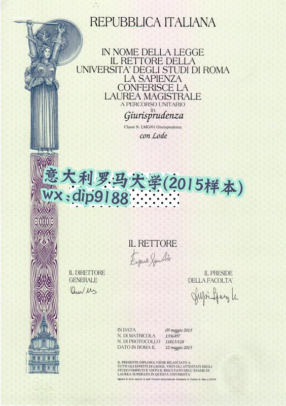 意大利罗马大学学历2015毕业证样本图片