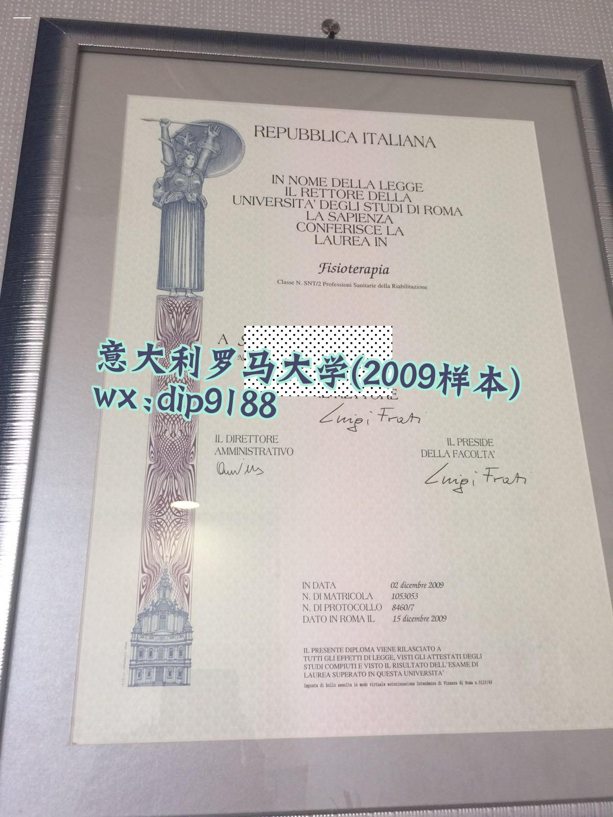 意大利罗马大学学历2009毕业证样本图片