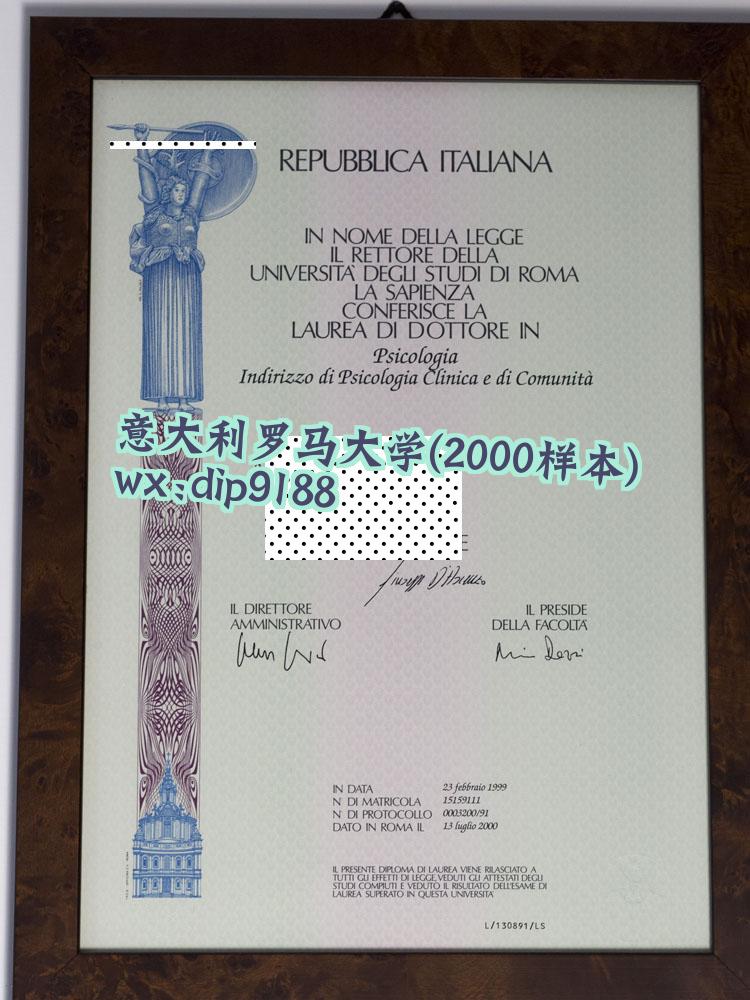 意大利罗马大学学历2000毕业证样本图片