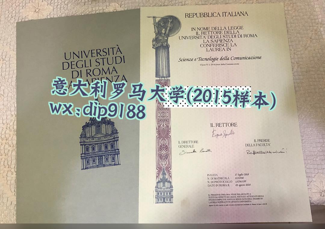 意大利罗马大学学历2015毕业证样本图片