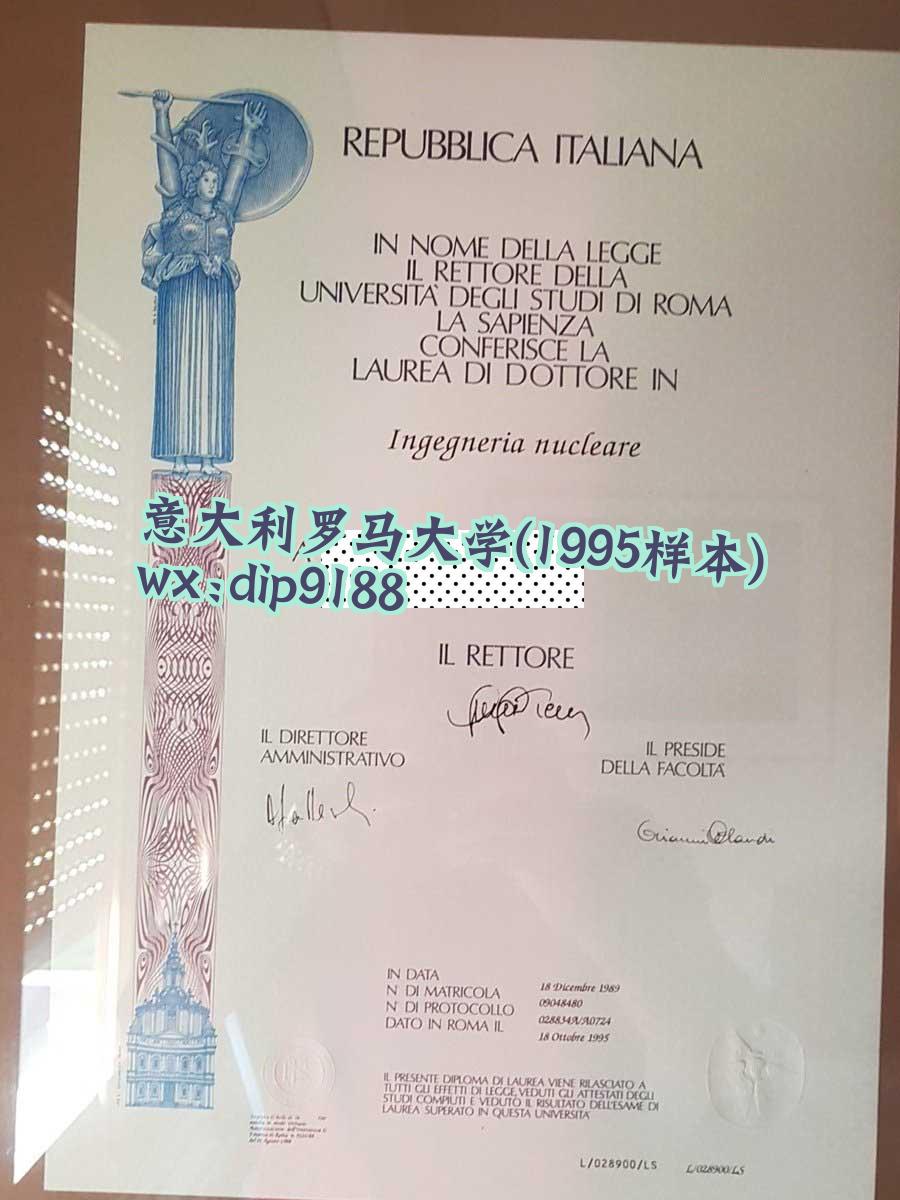 意大利罗马大学学历1995毕业证样本图