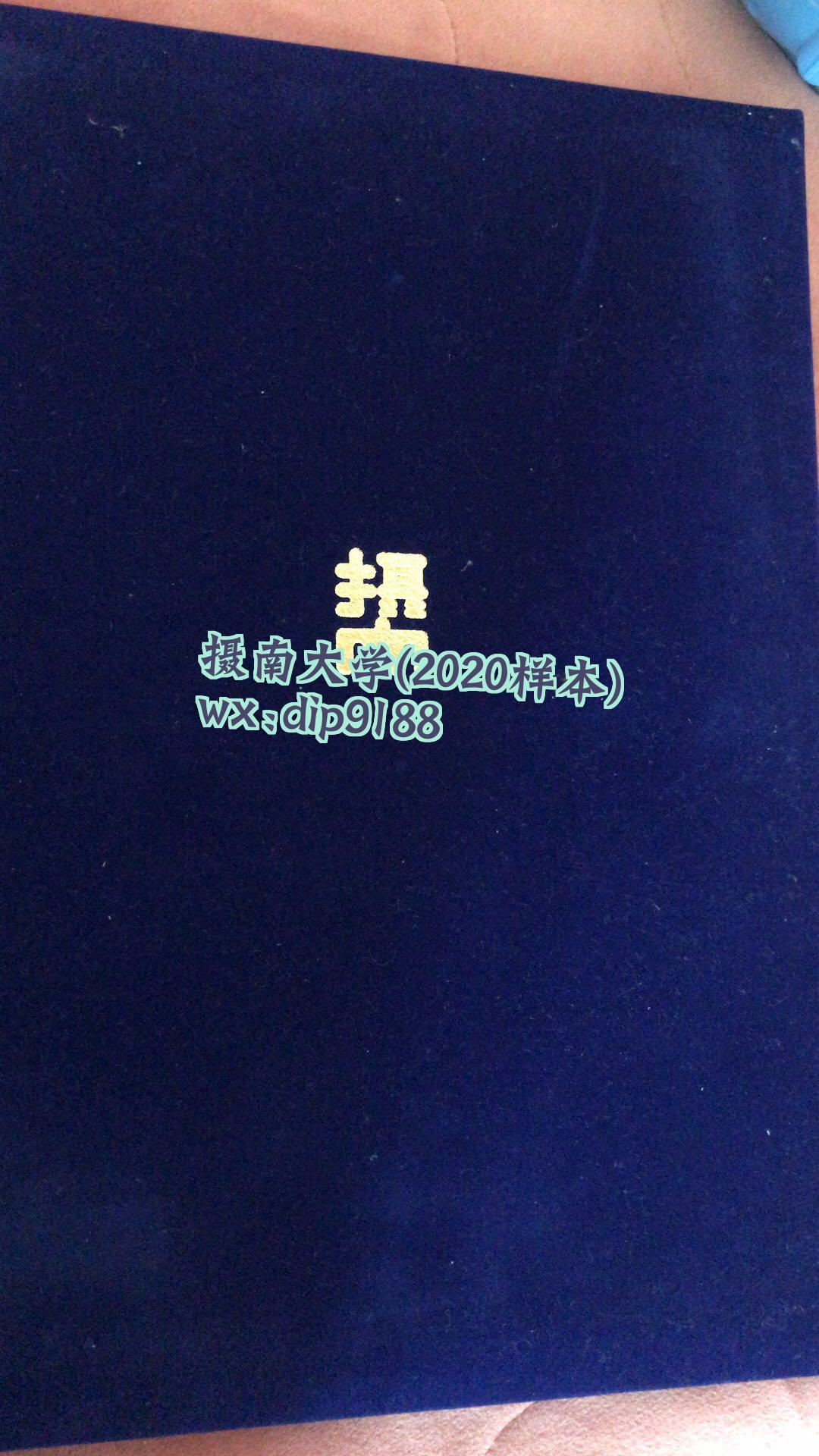 摄南大学学历2020毕业证样本图