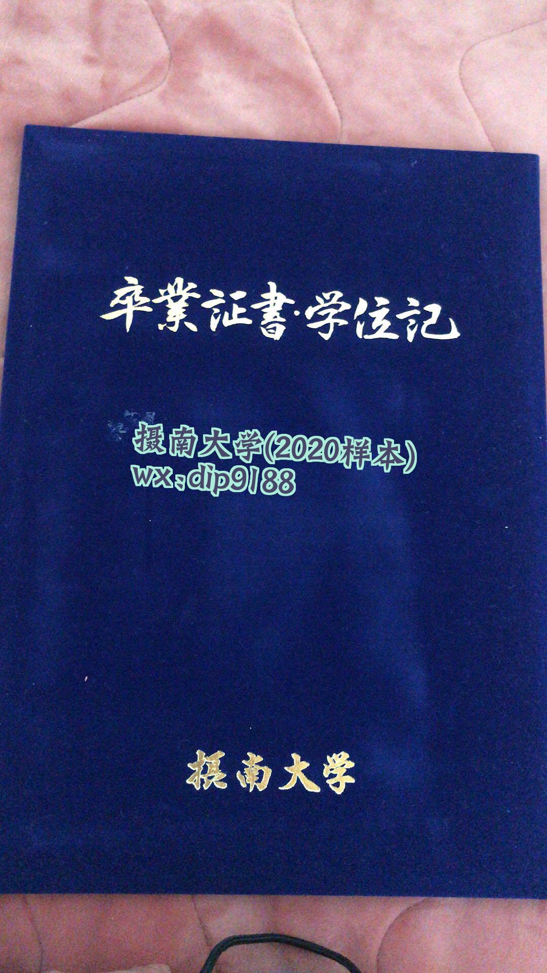 摄南大学学历2020毕业证样本图片