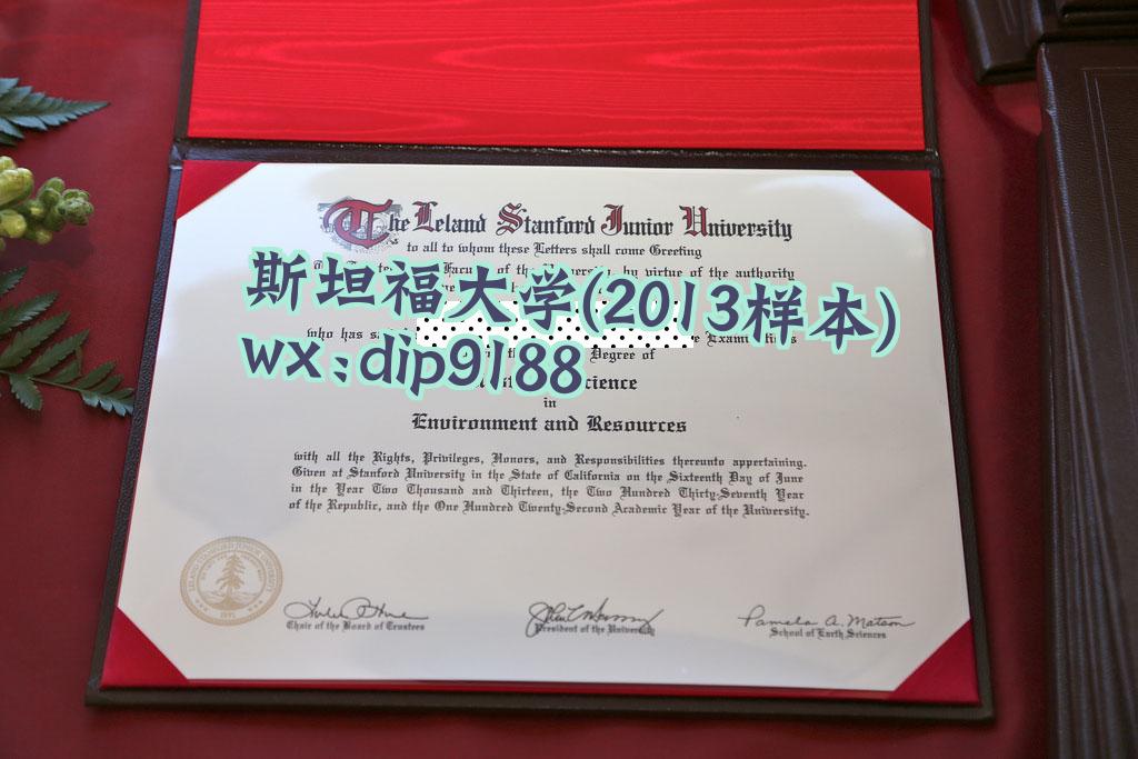 斯坦福大学学历2013毕业证样本图
