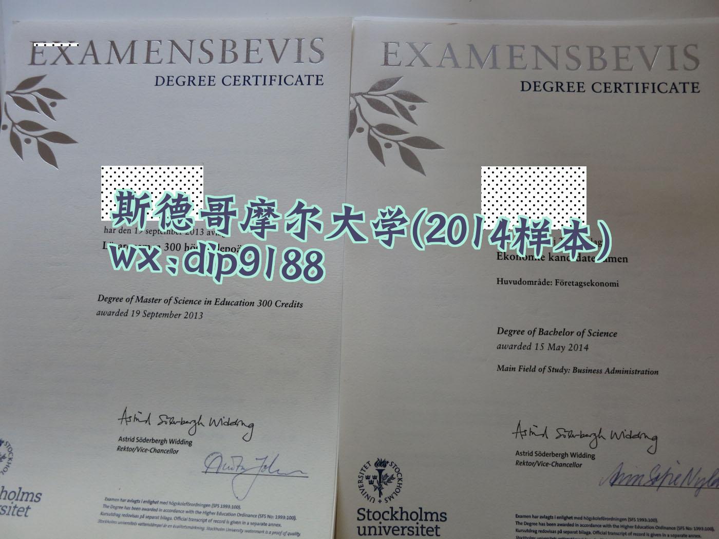 斯德哥摩尔大学学历2014毕业证样本图