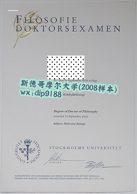 斯德哥摩尔大学学历2008毕业证样本图