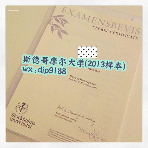 斯德哥摩尔大学学历2013毕业证样本图