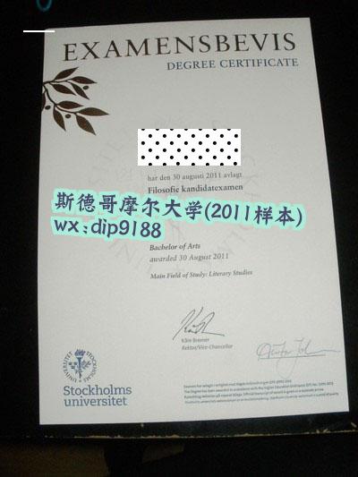 斯德哥摩尔大学学历2011毕业证样本图