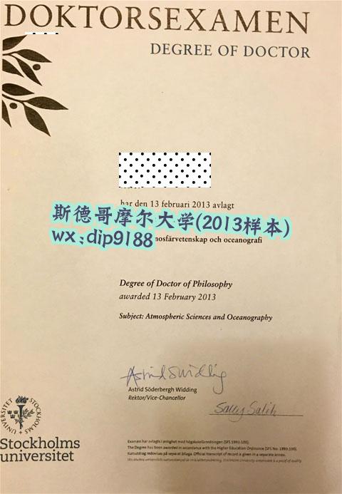 斯德哥摩尔大学学历2013毕业证样本图