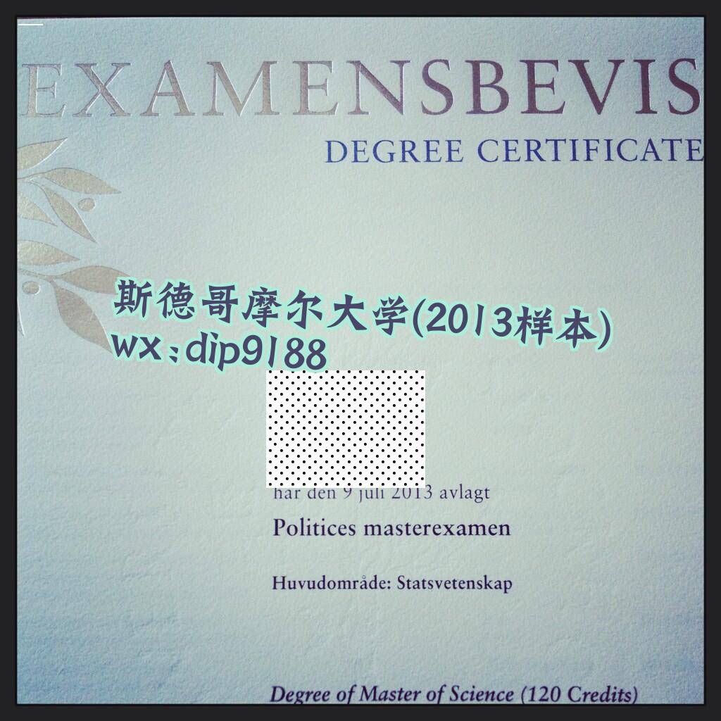 斯德哥摩尔大学学历2013毕业证样本图