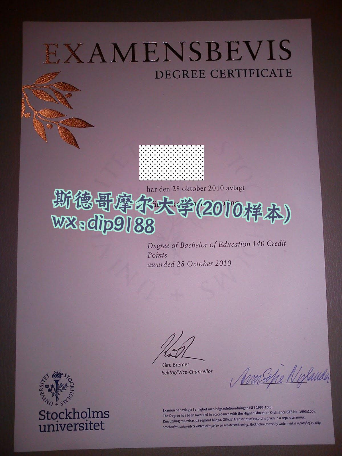 斯德哥摩尔大学学历2010毕业证样本图