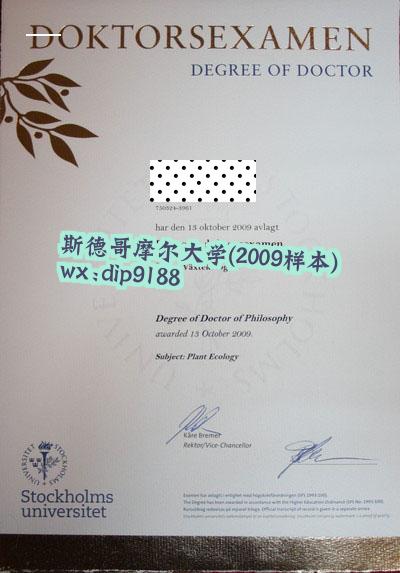 斯德哥摩尔大学学历2009毕业证样本图