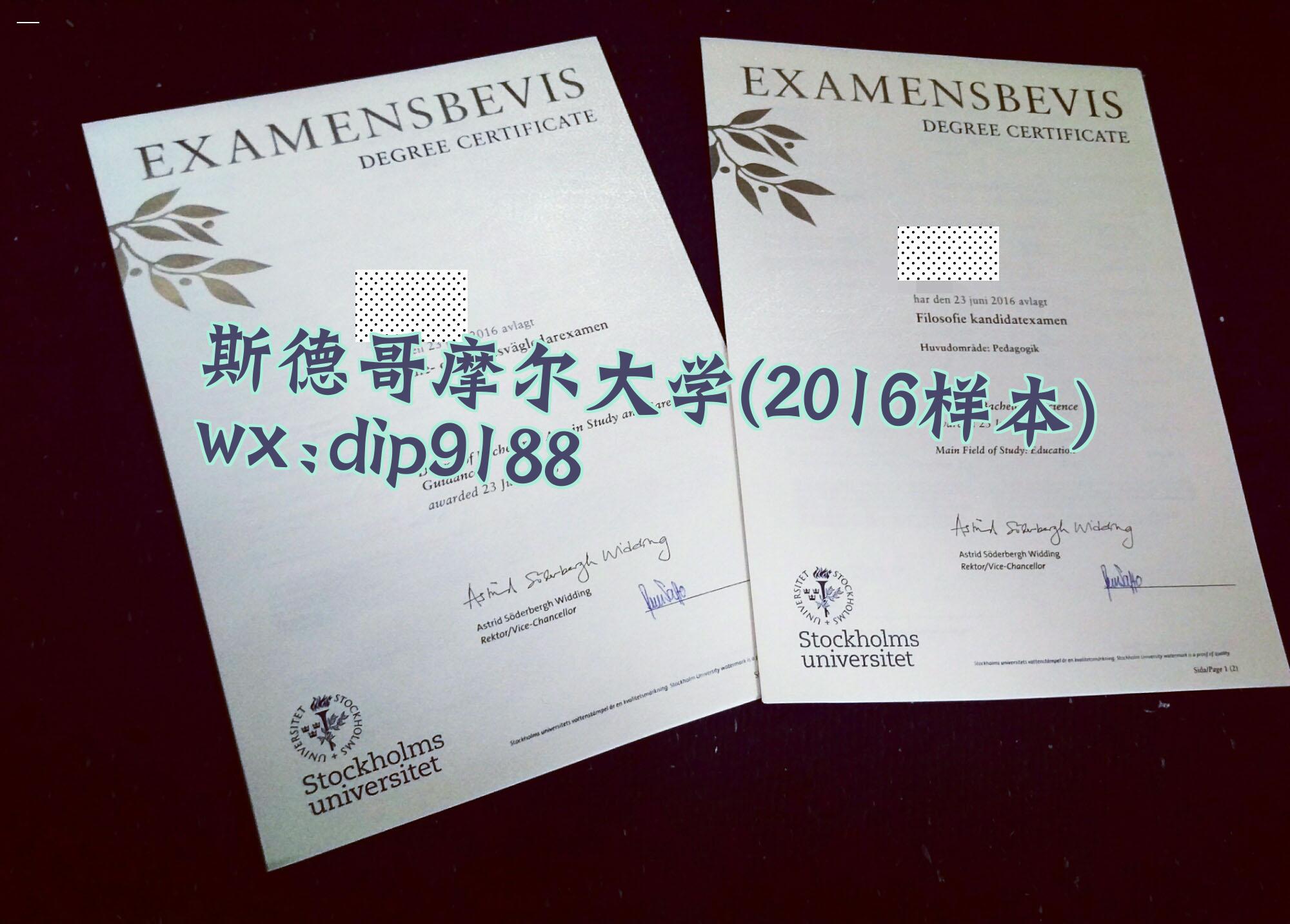 斯德哥摩尔大学学历2016毕业证样本图片