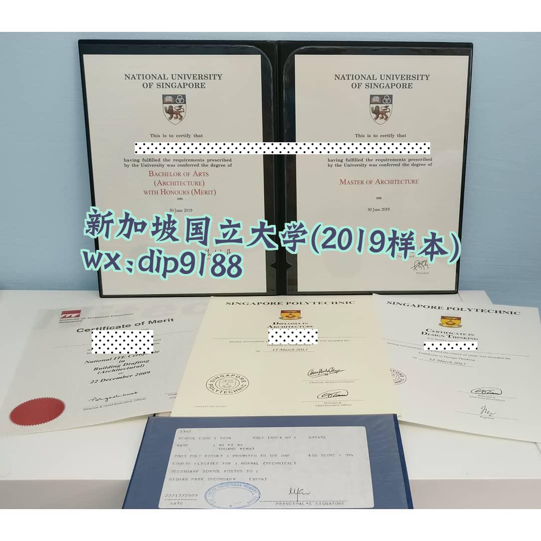 新加坡国立大学学历2019毕业证样本图