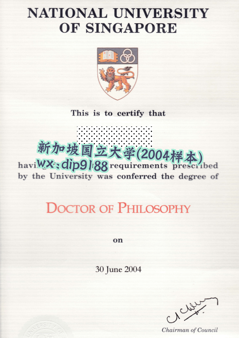 新加坡国立大学学历2004毕业证样本图