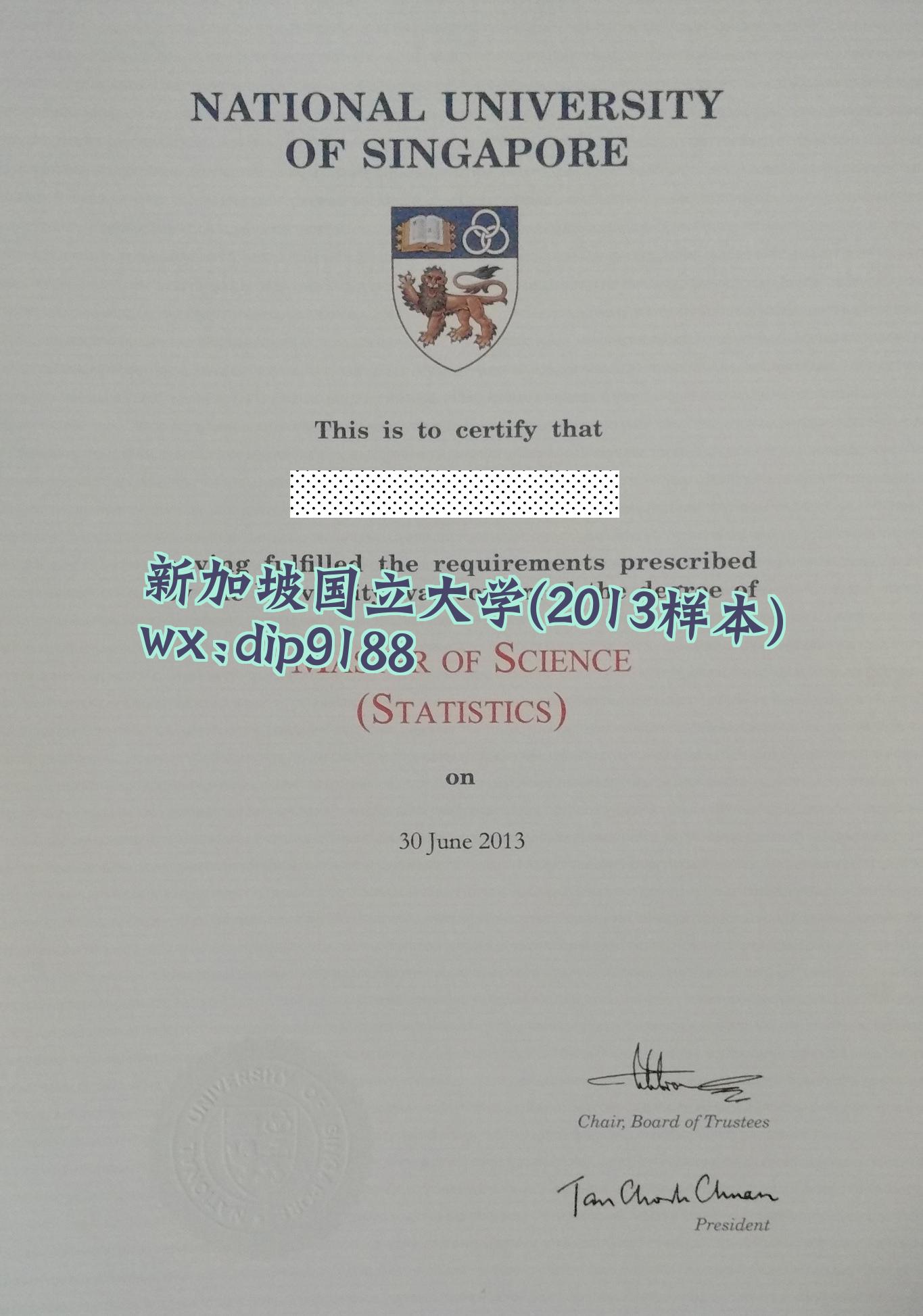 新加坡国立大学学历2013毕业证样本图