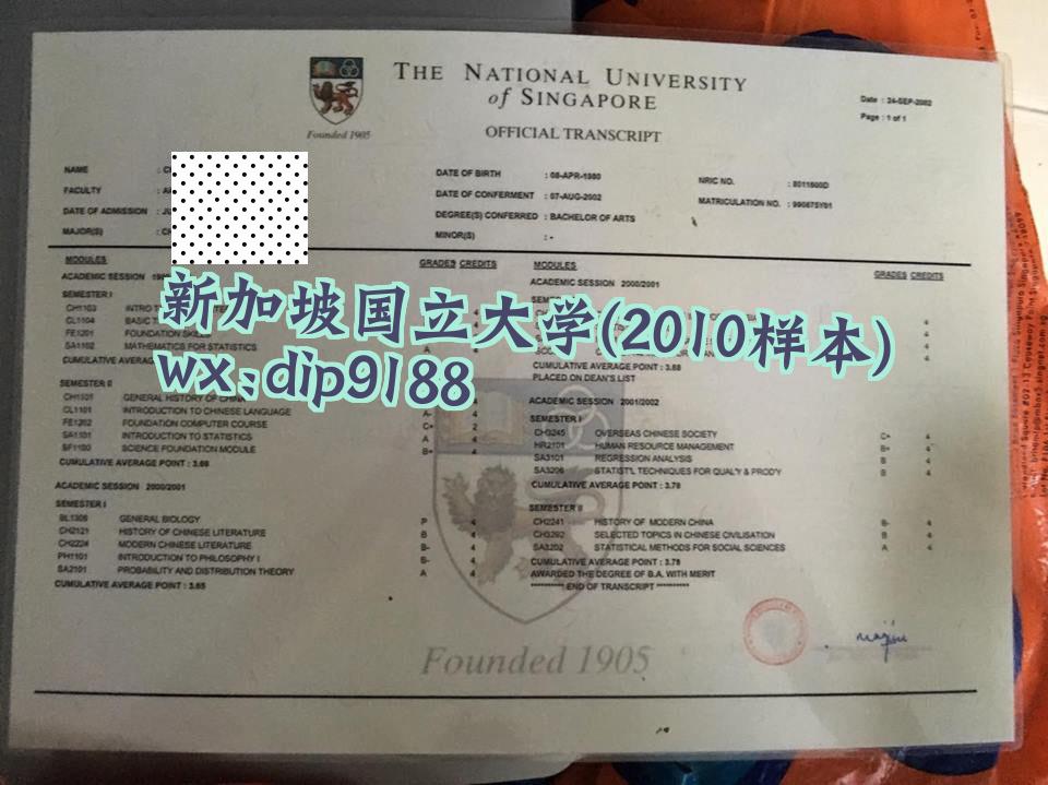 新加坡国立大学学历2010毕业证样本图