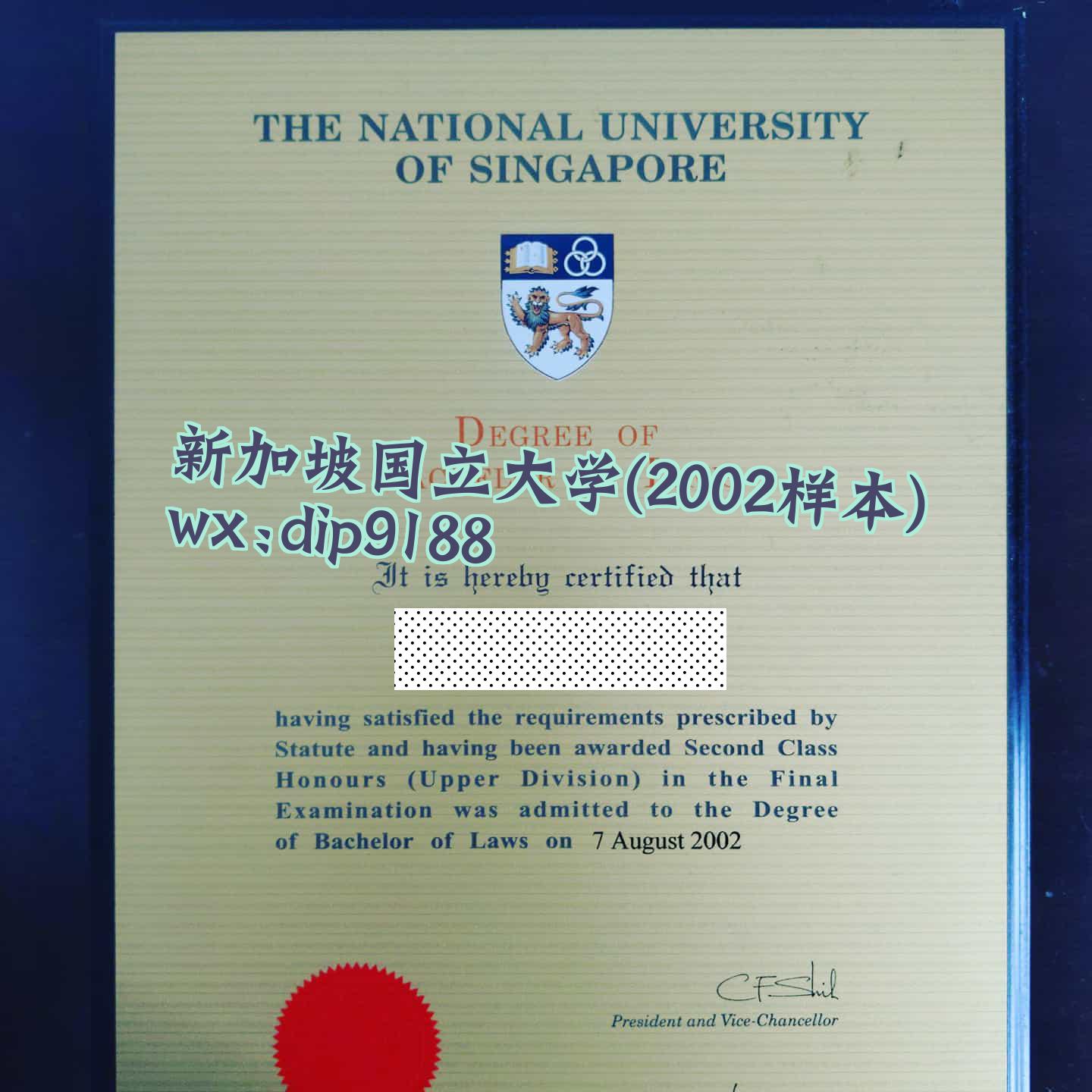 新加坡国立大学学历2002毕业证样本图