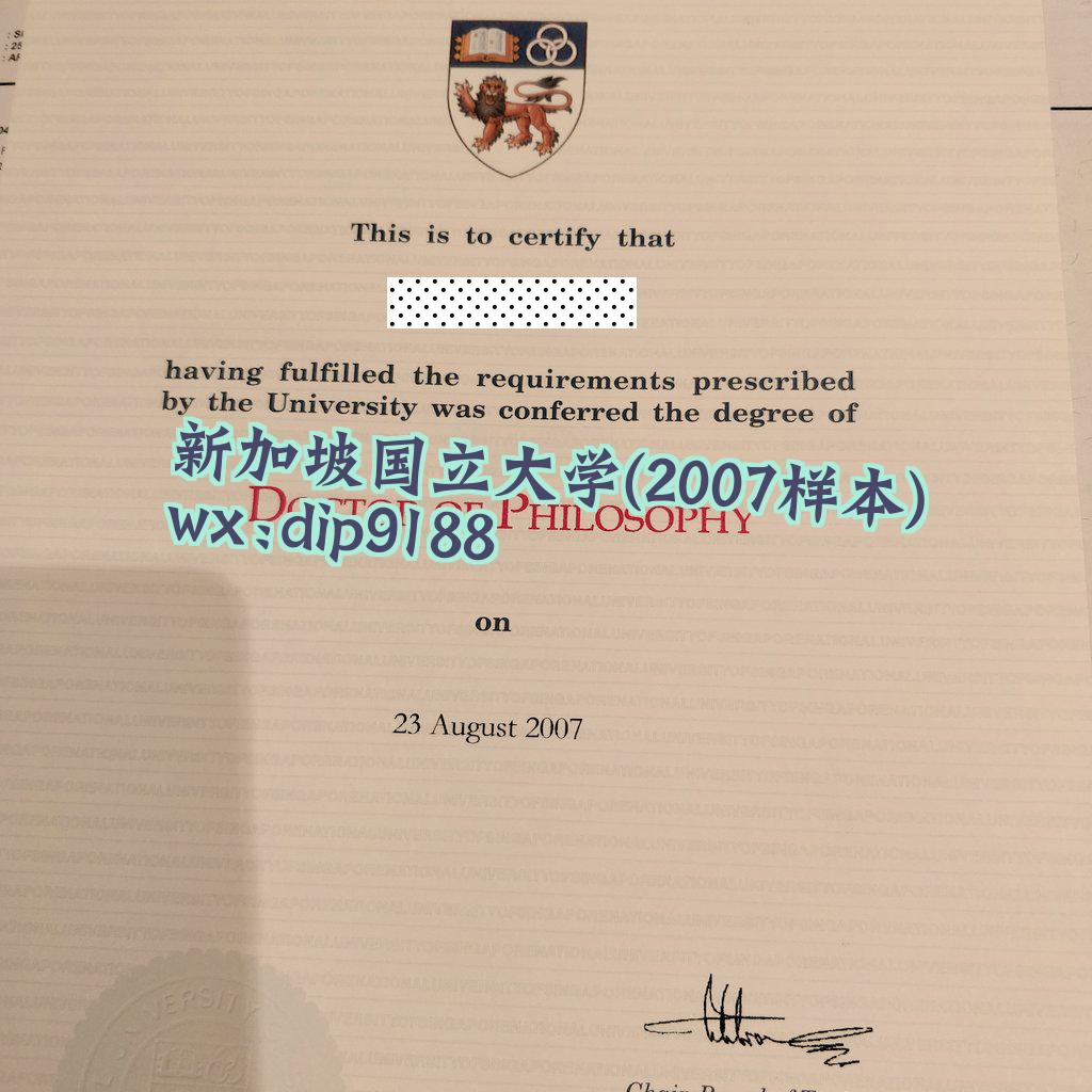 新加坡国立大学学历2007毕业证样本图