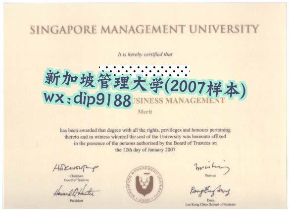 新加坡管理大学学历2007毕业证样本图