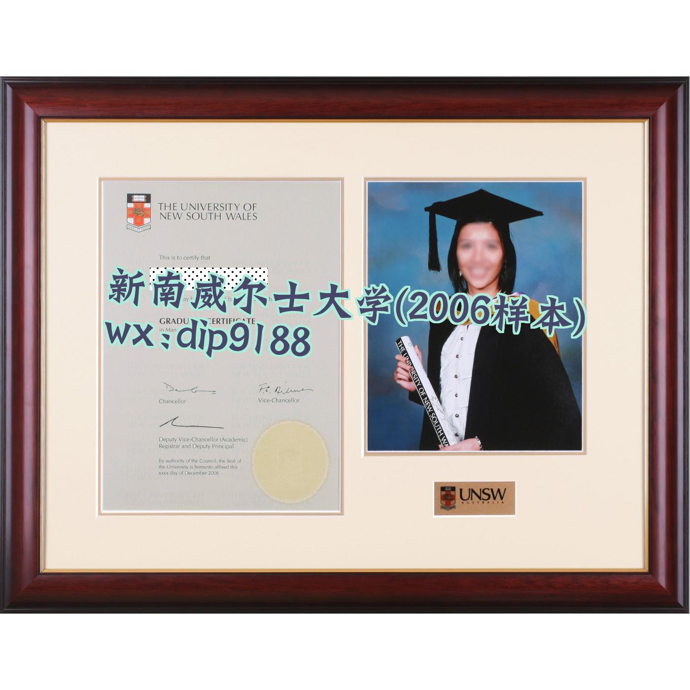 新南威尔士大学学历2006毕业证样本图