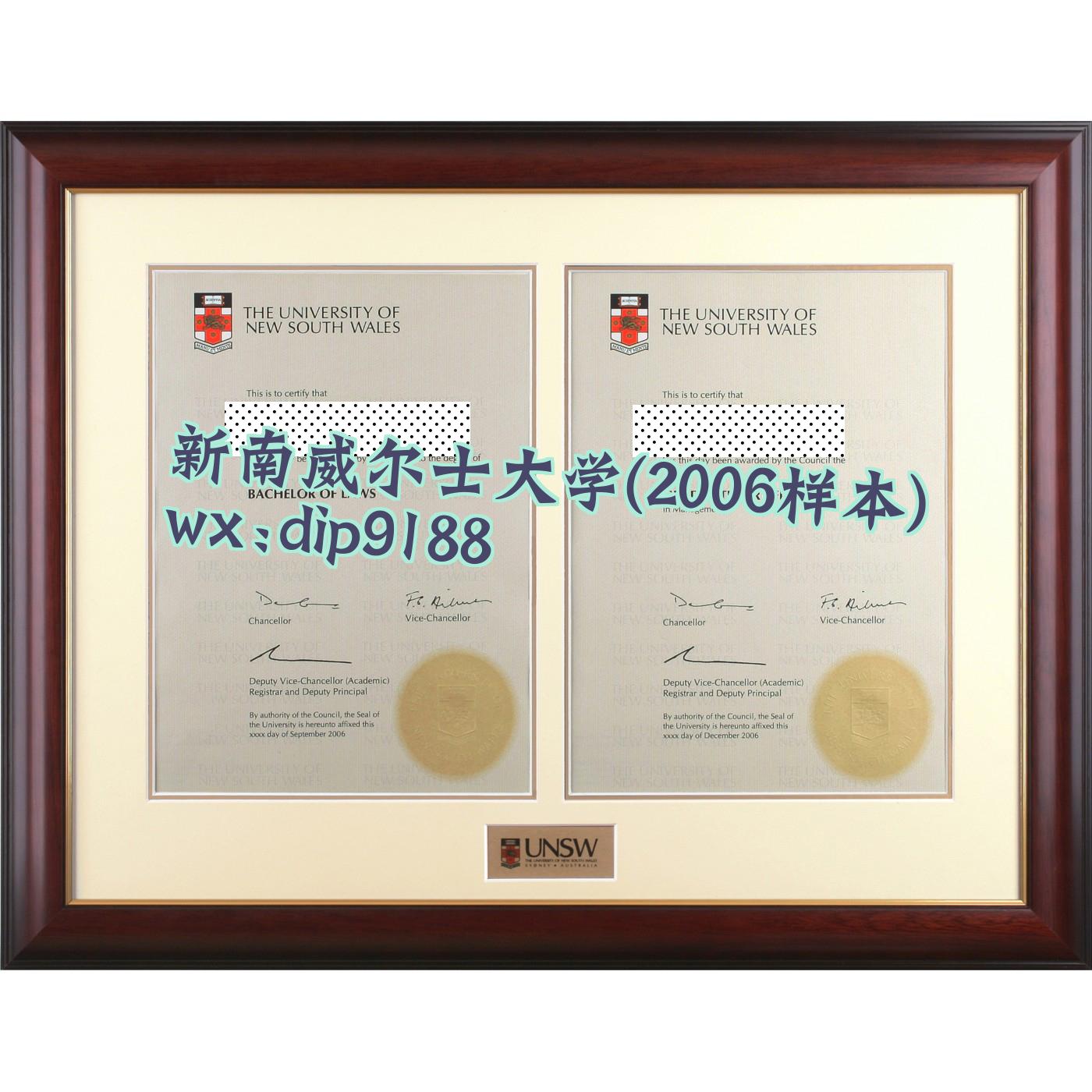 新南威尔士大学学历2006毕业证样本图