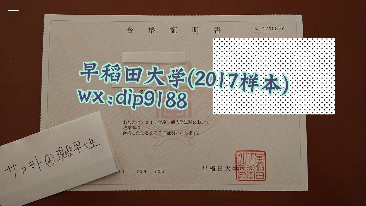 早稻田大学学历2017毕业证样本图