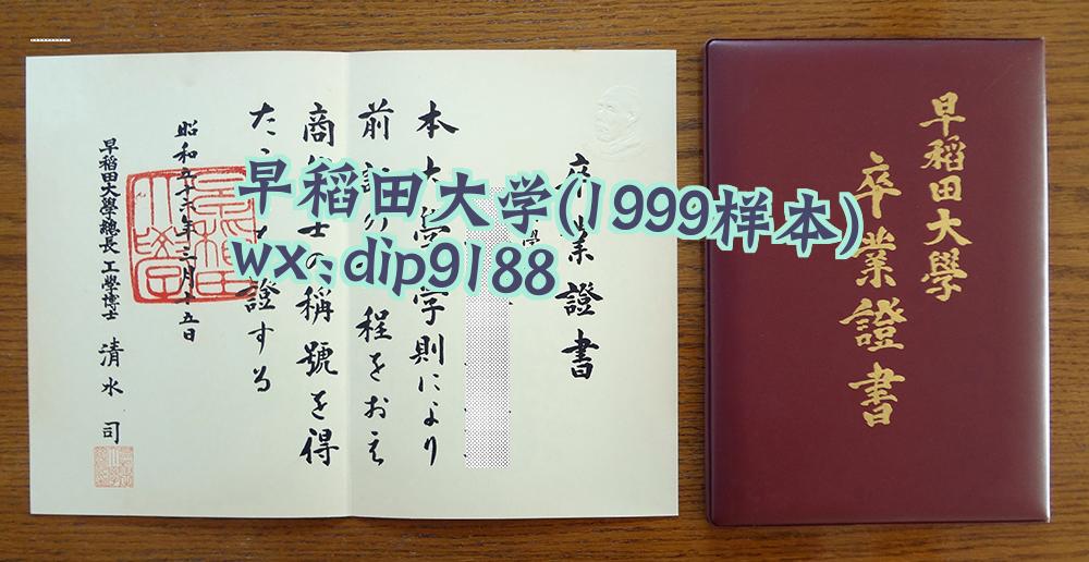 早稻田大学学历1999毕业证样本图