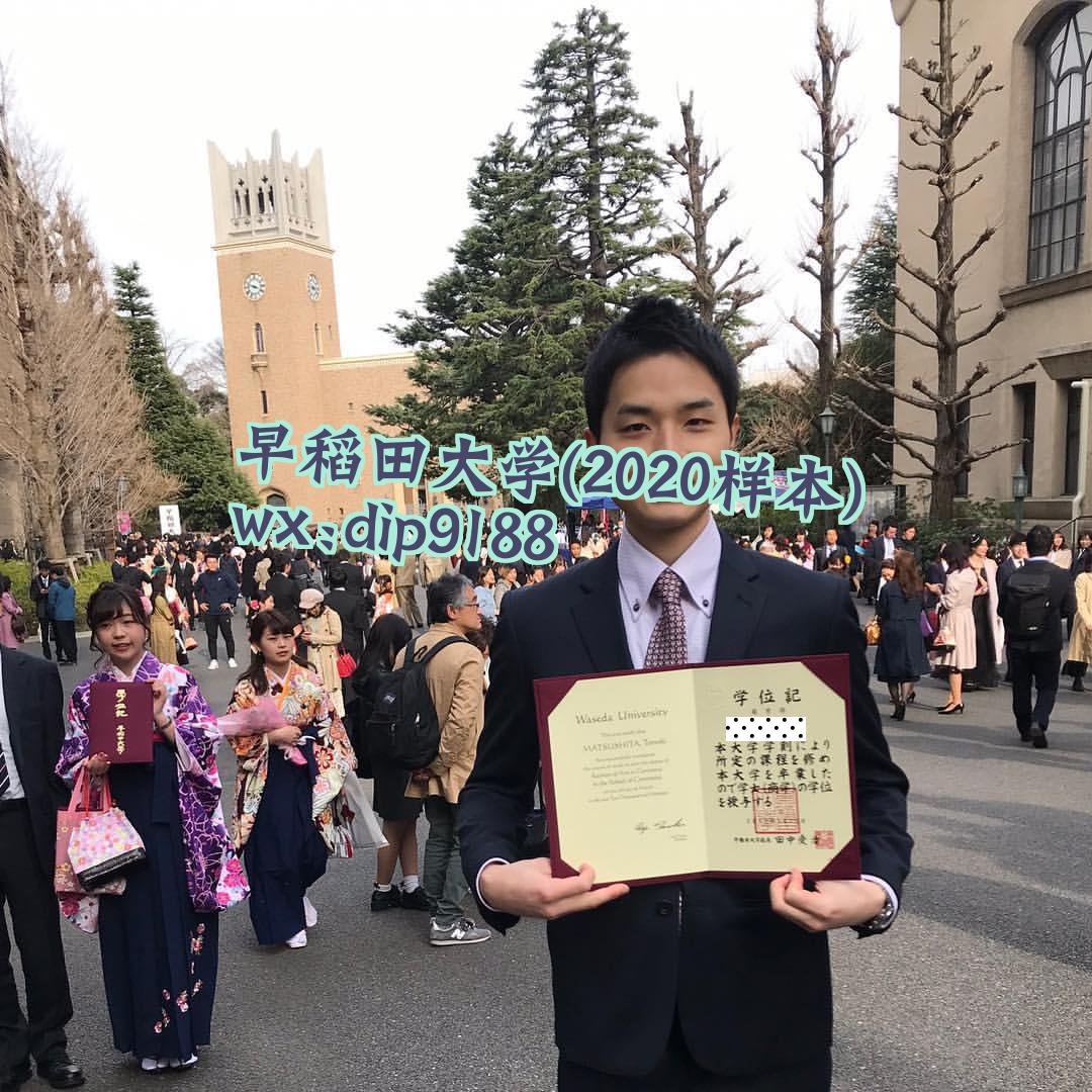 早稻田大学学历2020毕业证样本图