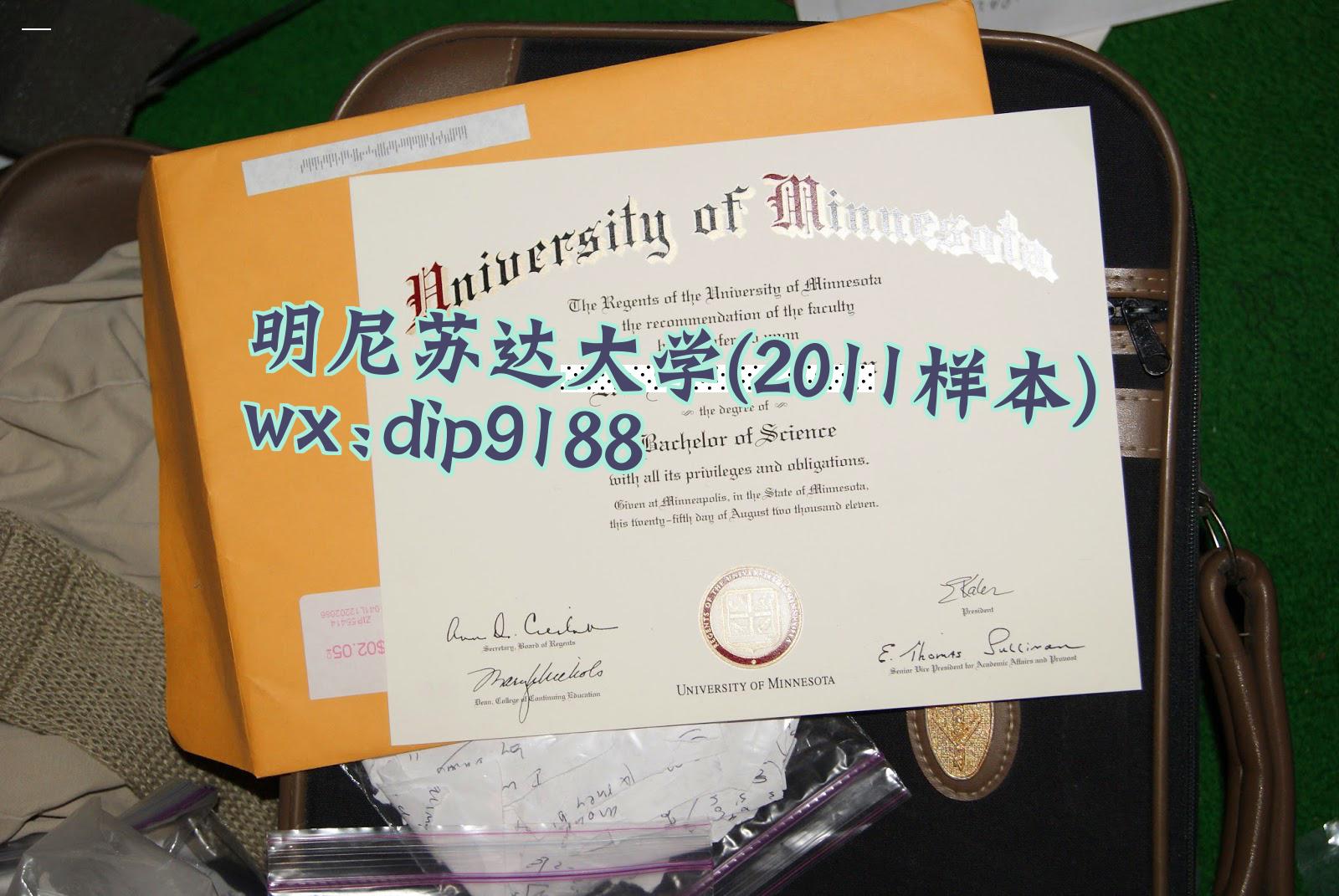 明尼苏达大学学历2011毕业证样本图片