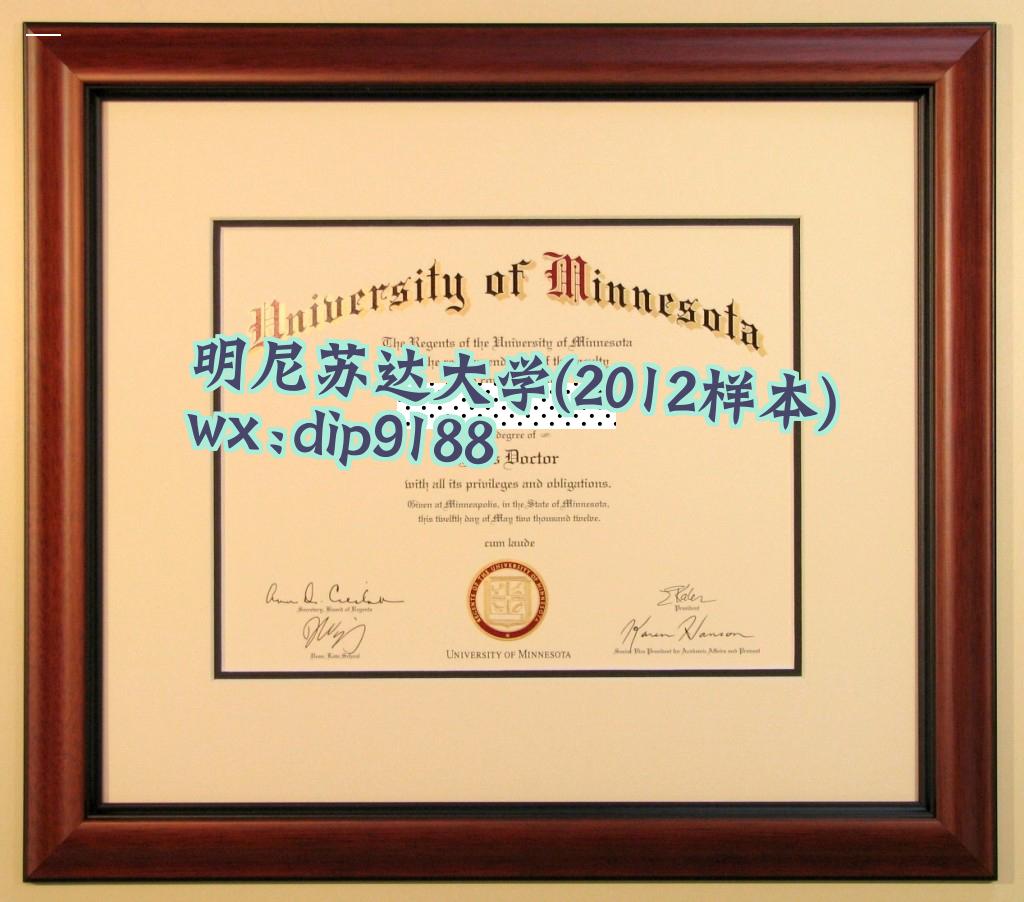 明尼苏达大学学历2012毕业证样本图片
