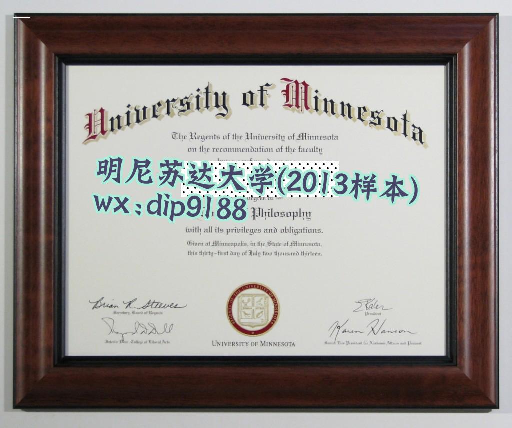 明尼苏达大学学历2013毕业证样本图片