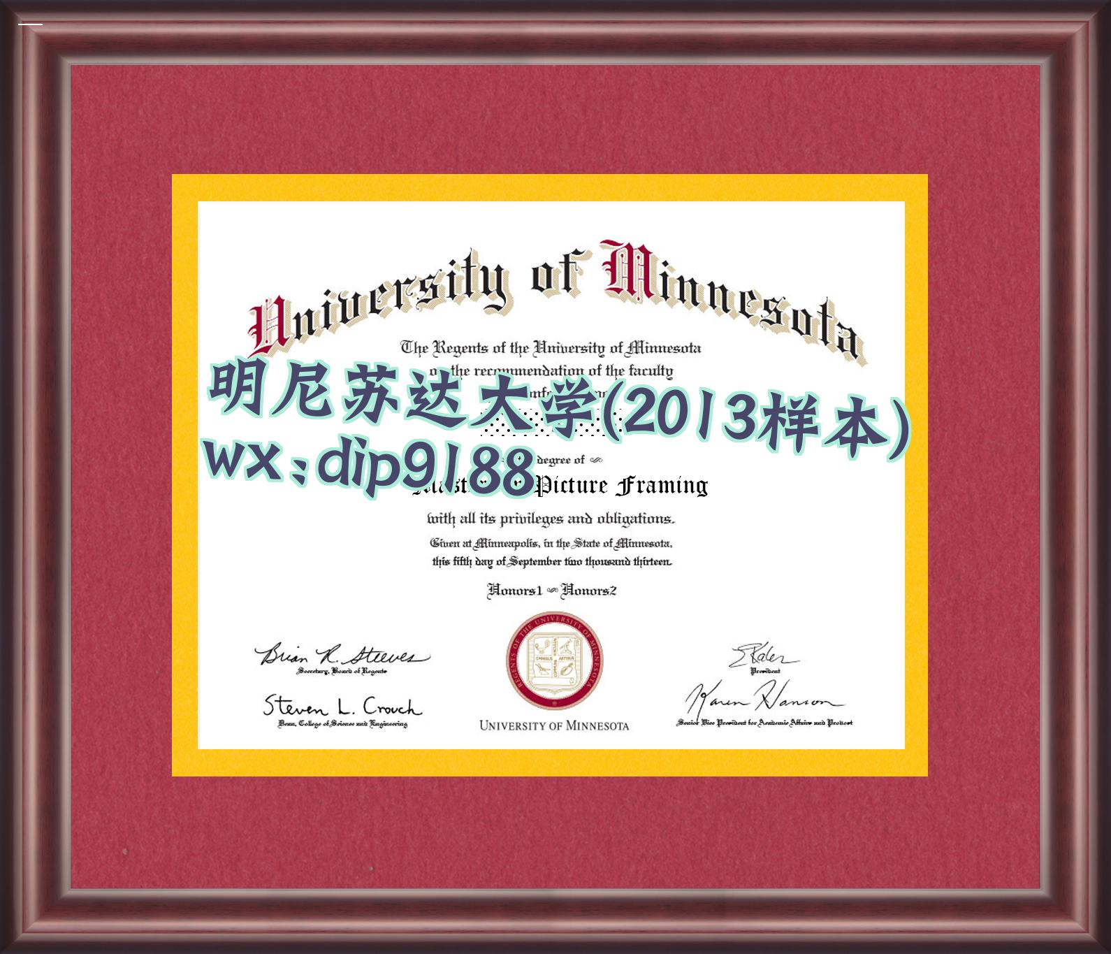 明尼苏达大学学历2013毕业证样本图片