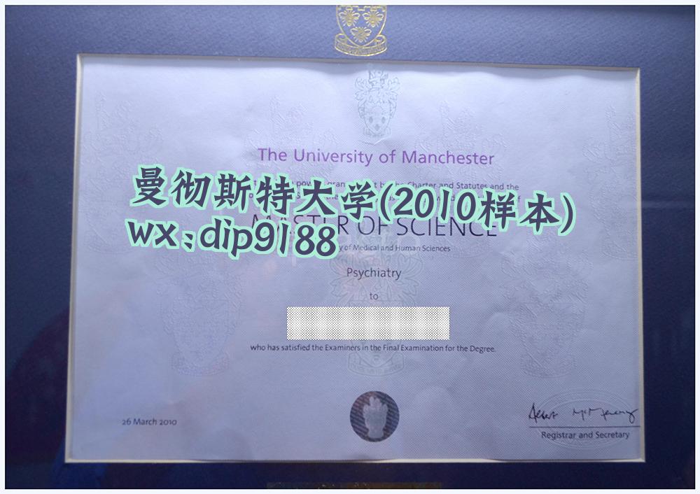曼彻斯特大学学历2010毕业证样本图