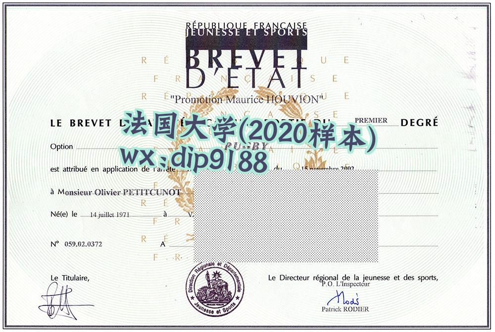 法国大学学历2020毕业证样本图