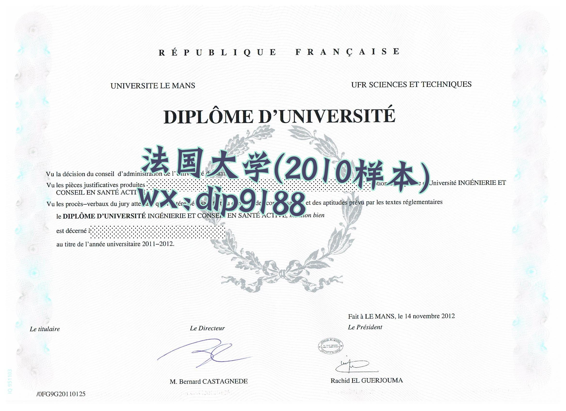 法国大学学历2010毕业证样本图