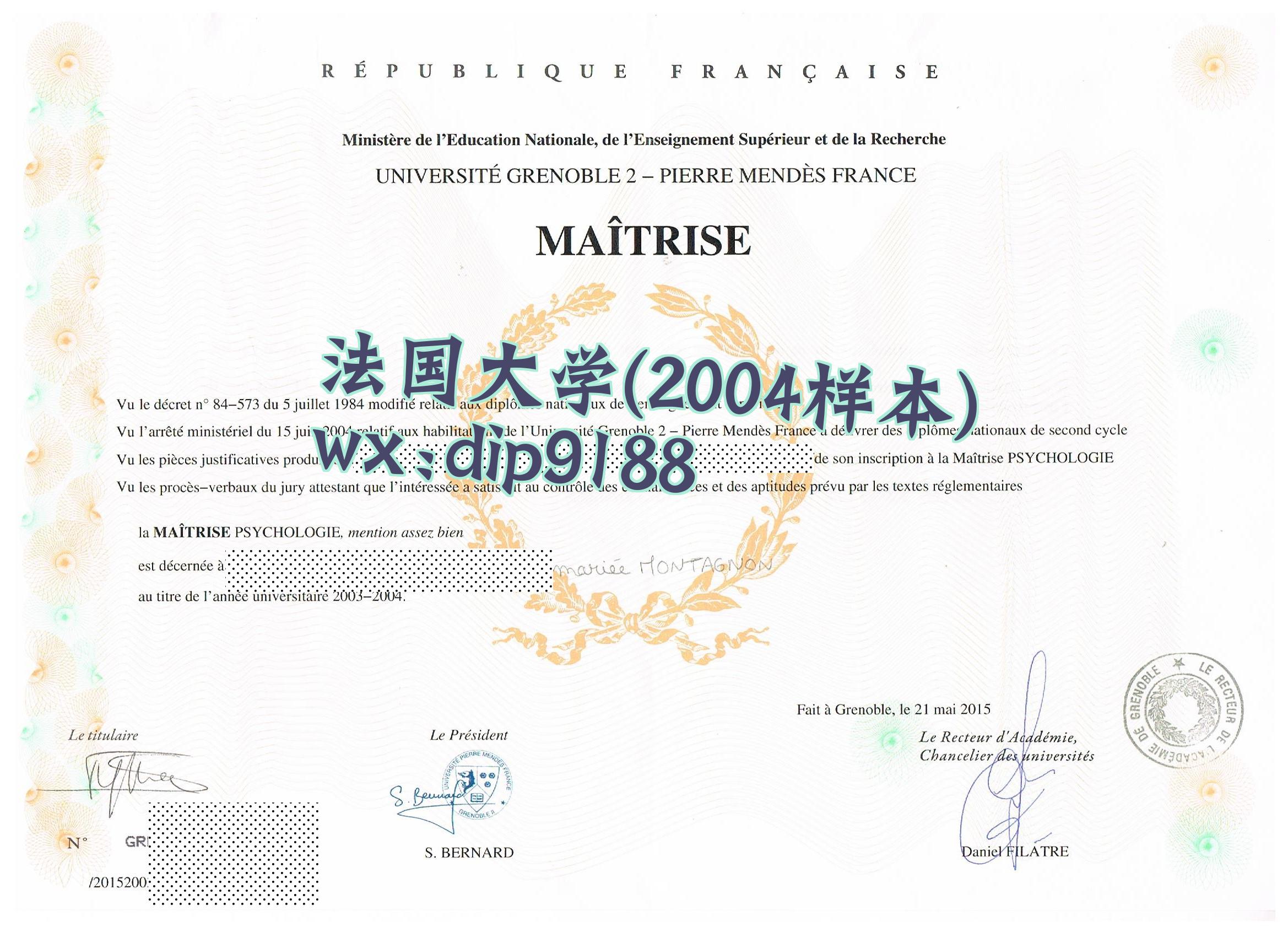 法国大学学历2004毕业证样本图